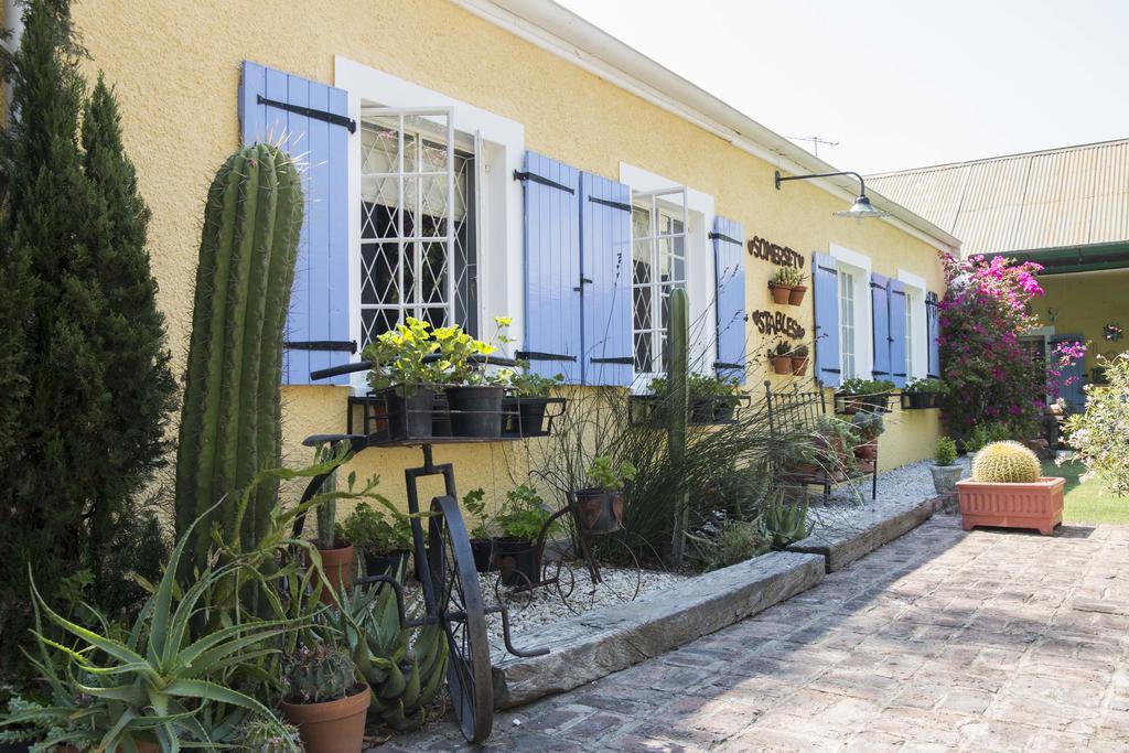 Somerset Stables Graaff-Reinet Exteriér fotografie